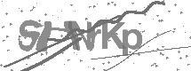 visual captcha